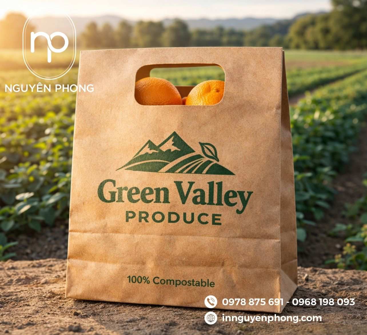 Mẫu túi giấy đựng hoa quả giá rẻ 